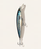 Diver Mackerel