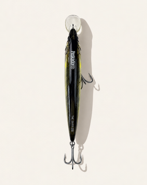 Diver Pollock