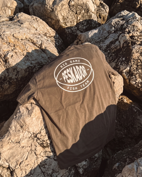 Big Game Box Tshirt Walnut